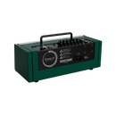 Amplificador Para Guitarra Vosstorm Swamp 23