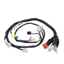 Fiacao Principal (chicote) Condor Xtz 125 Es 02/05