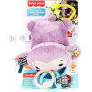 Fisher-price Newborn Toys Macaquinho Musical Para Carrinho Com Sons E Texturas