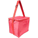 Bolsa Térmica Para 24 Latas - Cores Sortidas