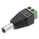 Conector P4 Com Borne Storm 10 Unidades