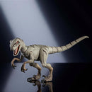 Boneco E Personagem Jurassic World Humanos E Dinossauro 9,5cm