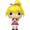 Pop! Hunter X Hunter - Bisky