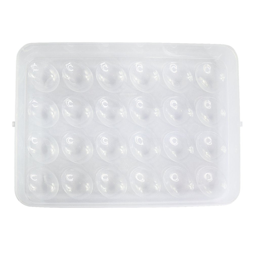 Bandeja de Ovos de Plástico 24 Compartimentos