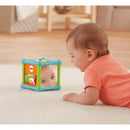 Fisher Price Infantil Cubo Animaizinhos Divertidos