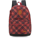 Mochila Harry Potter Gd Vi