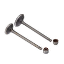 Valvula E Retentor Kit (4pcs) Ww3 Fazer 250 07/ - Lander 250