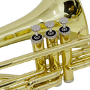 Trombone De Pisto Tenor Tb 200pd Laqueado Dourado Com Case New York