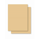 Papel Cartolina Amarela Escolar 50x66cm 140g Pct Com 100