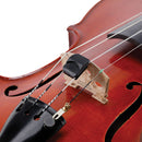 Surdina Violino Acabamento Preto DAddario Spector Mute 9493