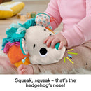 Fisher-price Newborn Toys Ouriço Aconchego Pelúcia
