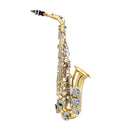 Saxofone Alto Eb Laqueado Niquelado Tsa 200ln Tokai
