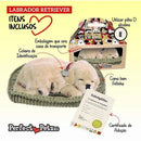 Perfect Petzzz Filhote Cachorro Labrador Retriever