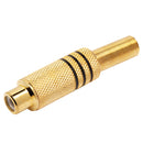Conector Rca Femea Metal Gold Preto Storm 10 Unidades