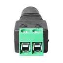 Conector P4 Com Borne Storm 10 Unidades