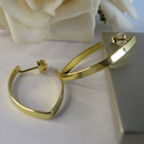 Brinco Argola Oval Banhado Em Ouro 18k Cor:dourado