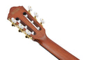 Violão Nylon Eletroacústico Rose Flat Ibanez FRH10N-RGF