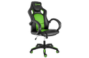 Cadeira Gamer Xzone Preta E Verde - Cgr-02