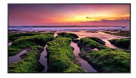 Monitor Profissional Samsung 4K 55" QB55C - LH55QBCEBGCXZD