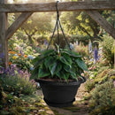 Suporte Vaso Suspenso Preto 3 Ganchos Cabo De Aço 50cm G