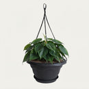 Suporte Vaso Suspenso Preto 3 Ganchos Cabo De Aço 70cm G