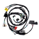 Fiacao Principal (chicote) Condor Cg 150 Titan Es-esd 04/08