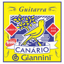 Corda Para Guitarra Giannini Gesgt 0.10-0.046 Leve