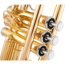 Trompete Ytr 2330 Cn Laqueado Dourado Com Case Yamaha