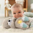 Fisher Price Newborn Toys Lontra Hora Dormir