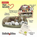 Perfect Petzzz Filhote Cachorro Pit Bull