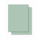Papel Cartolina Verde Escolar 50x66cm 140g Pacote Com 100 Folhas