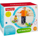 Fisher Price Infantil Empurra Tartaruga