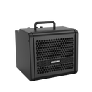 Amplificador Para Guitarra 6 Pol 15w Vosstorm Gx-6