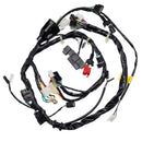 Fiacao Principal (chicote) Condor Cg 150 Titan Ex Flex 11/13