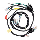 Fiacao Principal (chicote) Condor Cg 125 Titan Ks 00/01