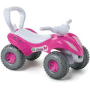 Veículo Para Bebê Super Flower Feminino Completo