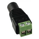 Jack P4 Com Borne Storm 10 Unidades