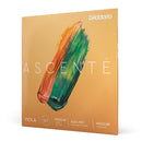 Encordoamento Viola De Arco D Addario Ascenté A410 MM