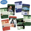 Jogo Educativo Cartas Geniais Animais Curioso