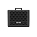 Amplificador Para Guitarra 8 Pol 25w Vosstorm Gx-8