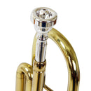Trompete Tp 200 Laqueado Dourado Com Case New York