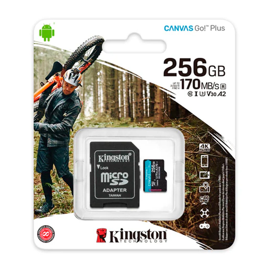 Cartão de Memória Kingston Canvas Go Plus 256GB - SDCG3/256GB