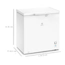 Freezer 199l Electrolux He 200 01 Tampa 110V - He200