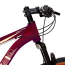 Bicicleta Colli Atalanta Aluminio A.29 F.disco Kit Shimano 21m - 531-0148d