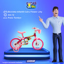 Bic Aro 12 Fem Flower Lilly Cairu - 127032