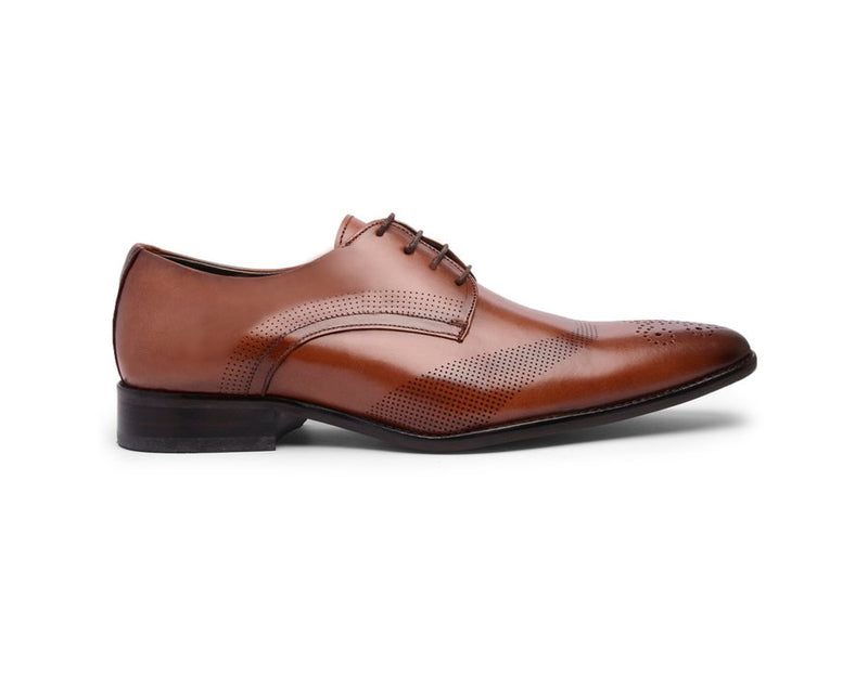 Oxford Masculino Cromo Argentino Caramelo 23121