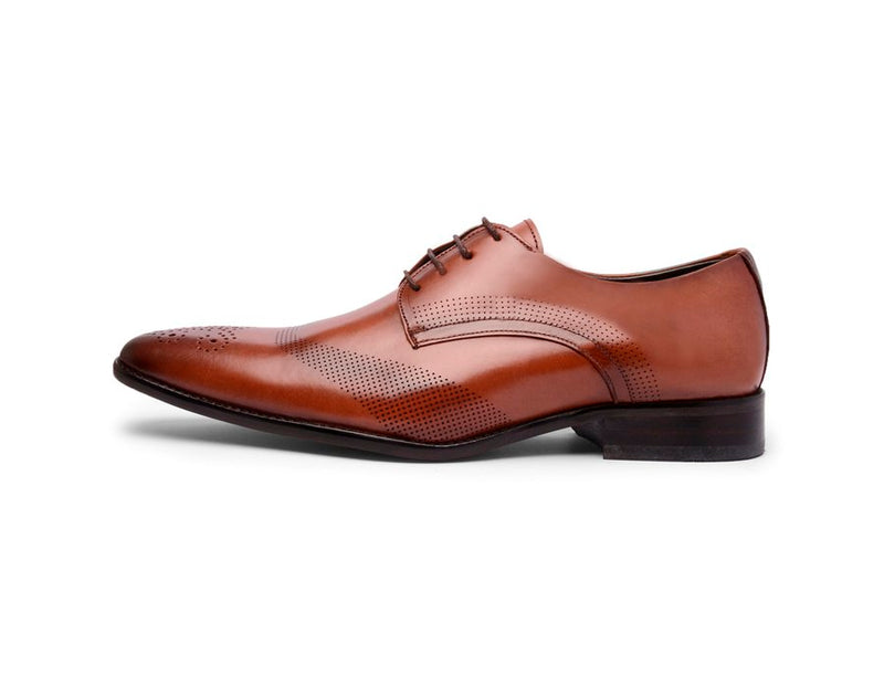 Oxford Masculino Cromo Argentino Caramelo 23121