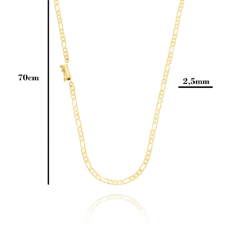 Corrente Modelo 3 Por 1 Fecho Gaveta 2,5mm - 6g - 70 Cm + Pingente Medalha Leão Tribo De Judá - 2,0 X 2,0 Cm