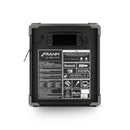 CAIXA AMPLIFICADA MULTIUSO  BLUETOOTH, USB, RÁDIO FM, AUXILIAR 100W LC 250 APP PRETA 31589