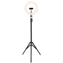 Kit Ring Light Led 26cm 10 Polegadas Com Tripe 1,65 Metros E Suporte Para Celular Ate 8"" - Rl26